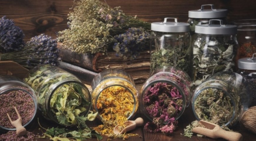 Hangi otlar şifalı ve neye iyi gelir?