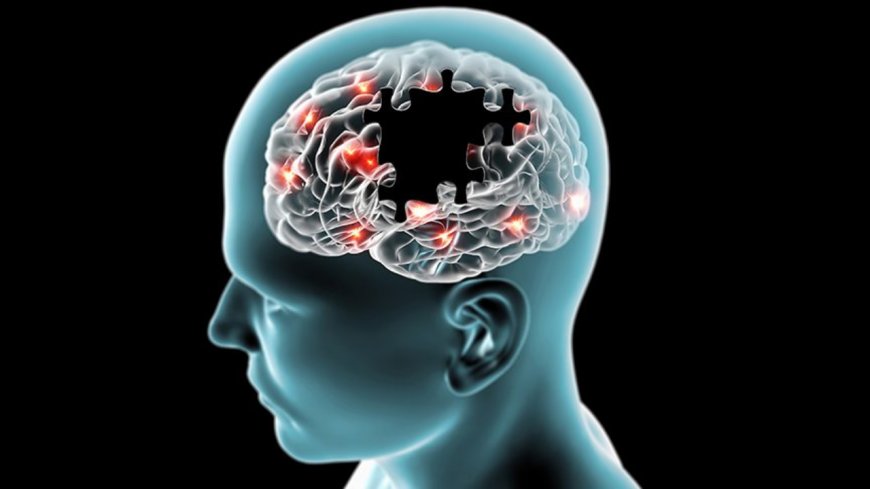 Yumurta Alzheimer riskini azaltıyor