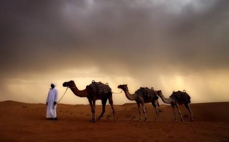 Türklerin Yazılı Tarihi Üzerine Tartışmalar