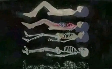 "İnsanın Kozmik Bağlantısı: Doğadan Gelen ve Doğaya Dönüşen Varlığımız"