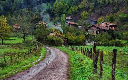 Kırsal Dönüşüm ve Türkiye’de Tarımın Yapısal Değişimi