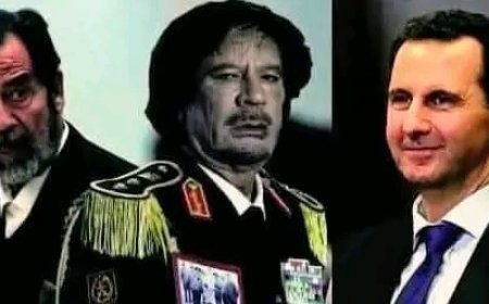 BOP Projesi işliyor mu ?