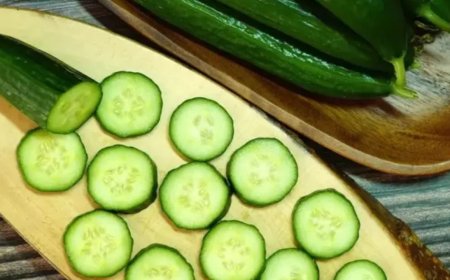 Soğanlarda görülen salmonella salatalıklarda da tespit edildi