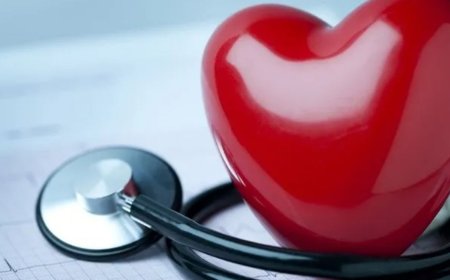 Bilim insanları açıkladı: Kalp sağlığını koruyan en etkili besin!