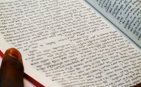 Dillerin Ölümü – Rebecca Roache