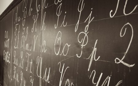 Kimin Mükemmel Bir Dile İhtiyacı Var ki? Zaten O Kusurlarıyla Kusursuz – Charlie Huenemann