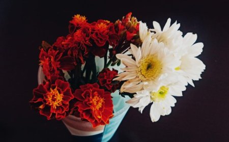 Hayatta Sevgi ve Aşkın Gerçek Anlamı