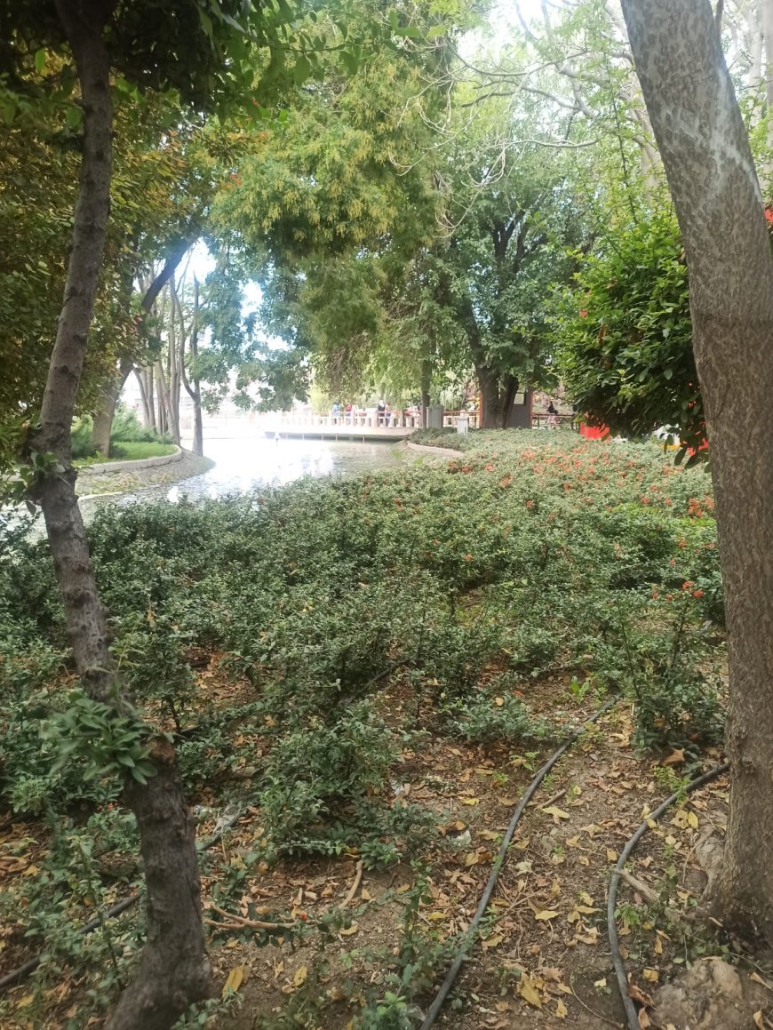 Ağız tadı