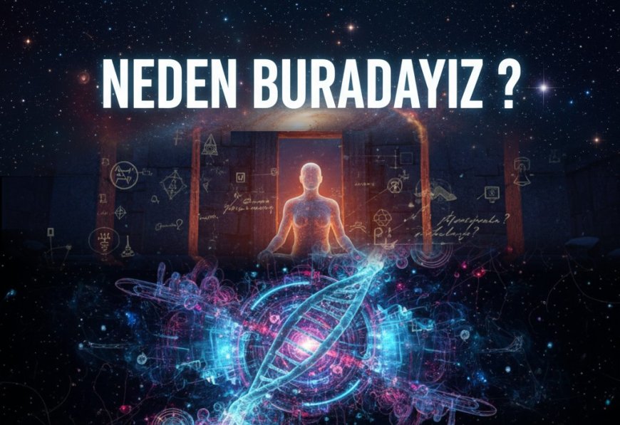 Varoluşun Şifresi - Neden Buradayız?