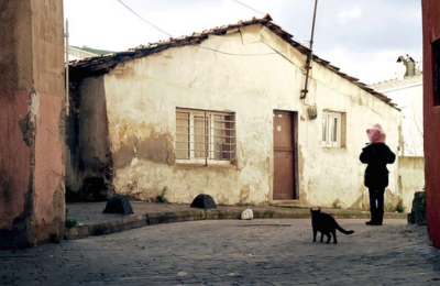 Oikeiosis öğretisi& Kendini sev