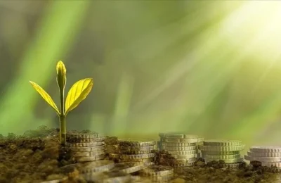 Dünya Bankası’ndan 155 milyon dolarlık yeşil dönüşüm kredisine onay