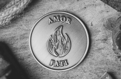 Nietzsche Ağladığında veya amor fati (yazgını sev)