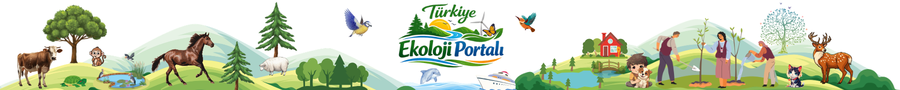 Türkiye Ekoloji Portalı – Doğa ve Yaşam
