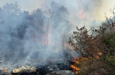 Bursa’da korkutan yangın