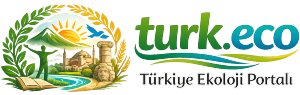 Türkiye Ekoloji Portalı – Doğa ve Yaşam
