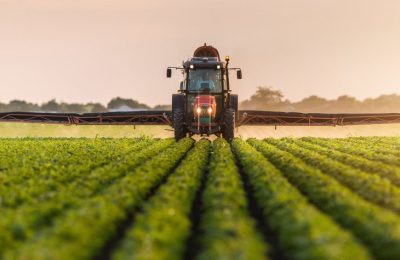 Türkiye’nin Sürdürülebilir Tarım Çözümleri
