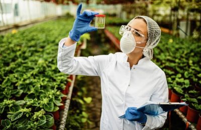 Türkiye’nin Gıda Güvenliği Sorunu