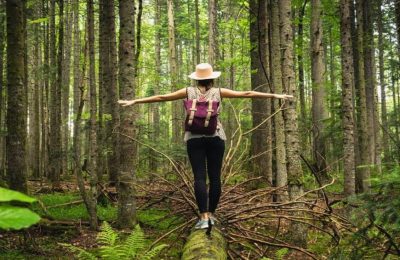 Doğanın Sessizliği ve İnsan Gürültüsü