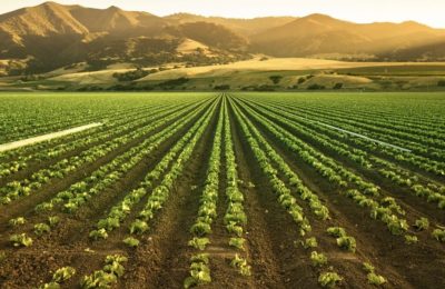 Tarım Alanlarının Artışı ve Ekosistem Üzerindeki Etkiler