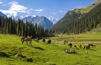 Türklerde Yaşama ve Doğaya Duyulan Bağlılık