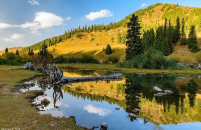 Yenilenebilir Enerji Adı Altında Sulak Alanlar Tehlikede