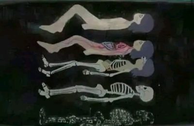 “İnsanın Kozmik Bağlantısı: Doğadan Gelen ve Doğaya Dönüşen Varlığımız”